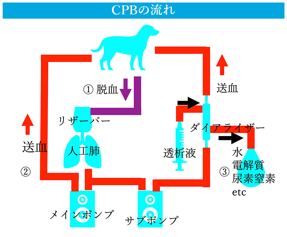 CPBの流れ